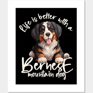 Bernese mountain dog Posters and Art